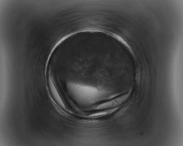 X0000086081372200704132053