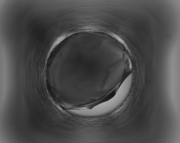 X0000086081373200704132053