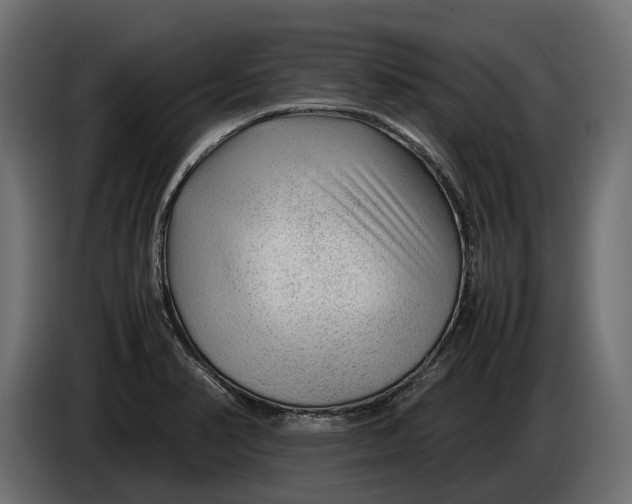 X0000086081374200704132053