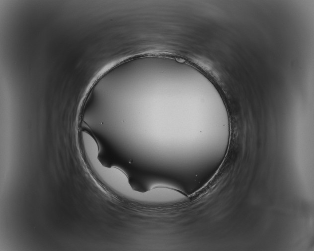 X0000086081375200704132053