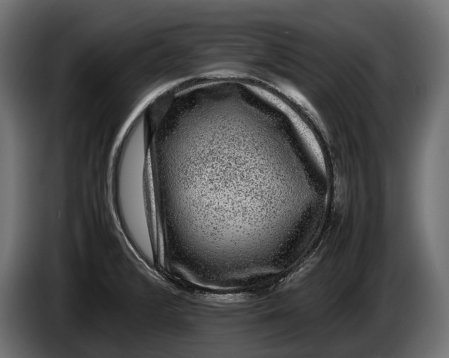 X0000086081376200704132053