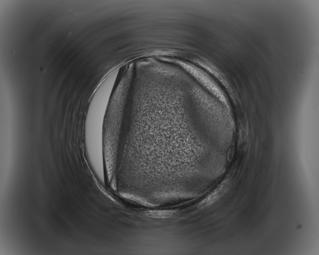 X0000086081377200704132053