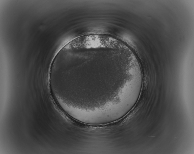 X0000086081378200704132053