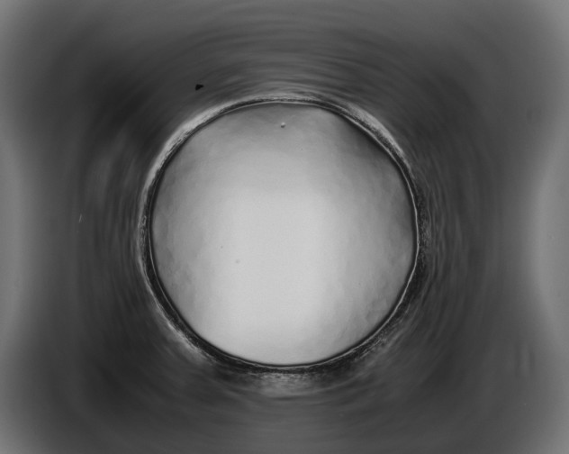 X0000086081379200704132053