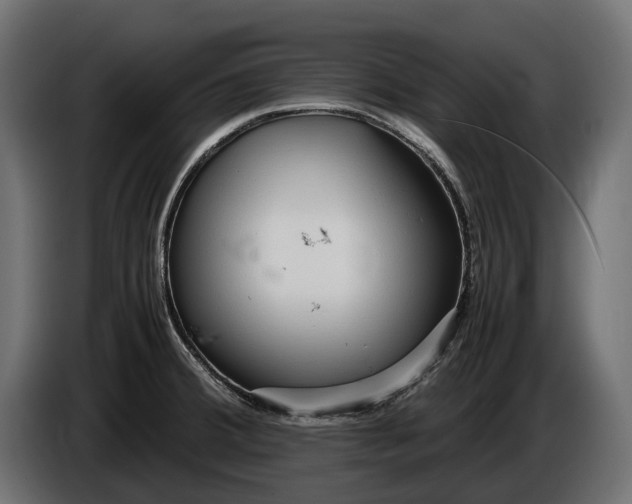 X0000086081380200704132053