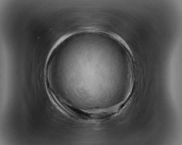 X0000086081381200704132053