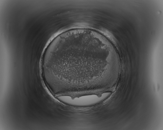 X0000086081382200704132053