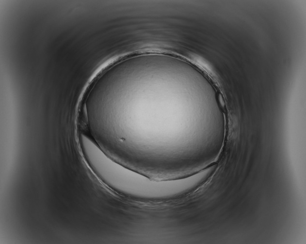 X0000086081384200704132053