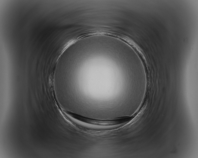 X0000086081385200704132053