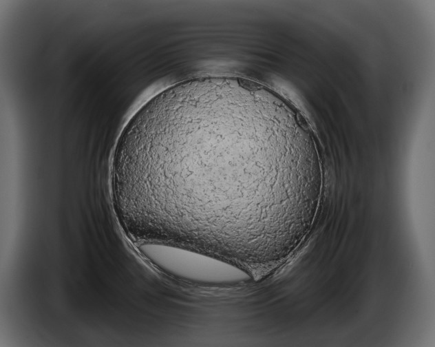 X0000086081386200704132053