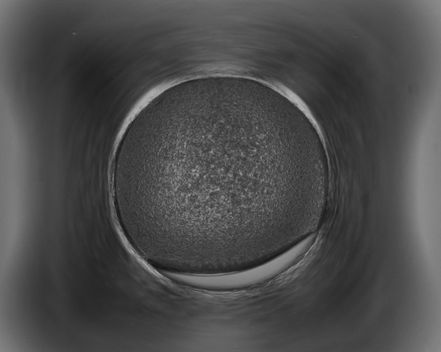 X0000086081389200704132053