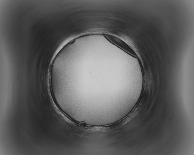 X0000086081390200704132053