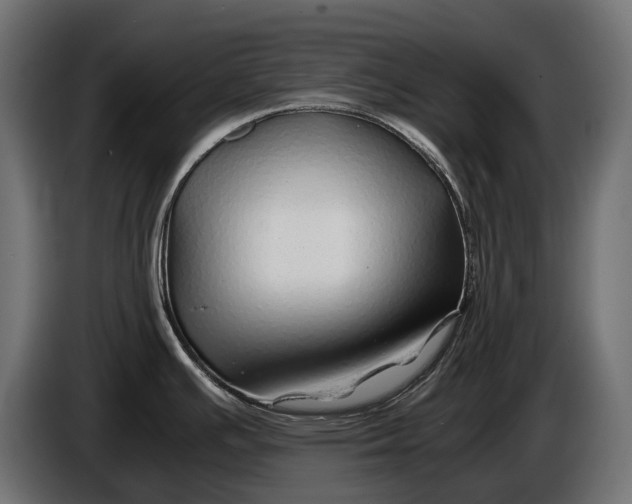 X0000086081391200704132053