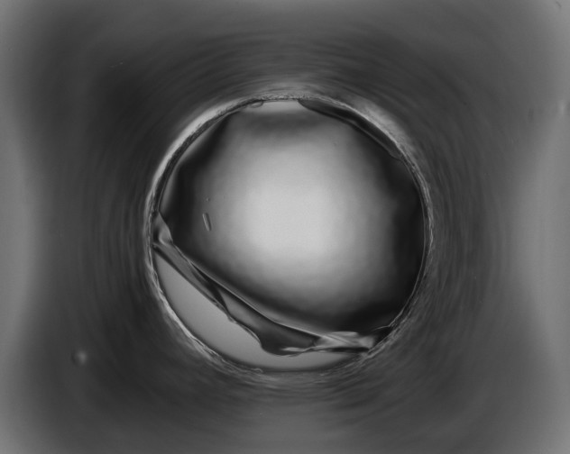 X0000086081392200704132053