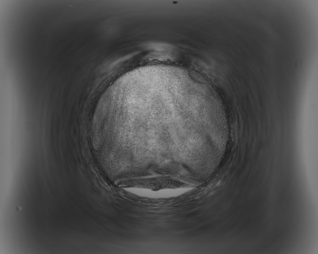 X0000086081393200704132052