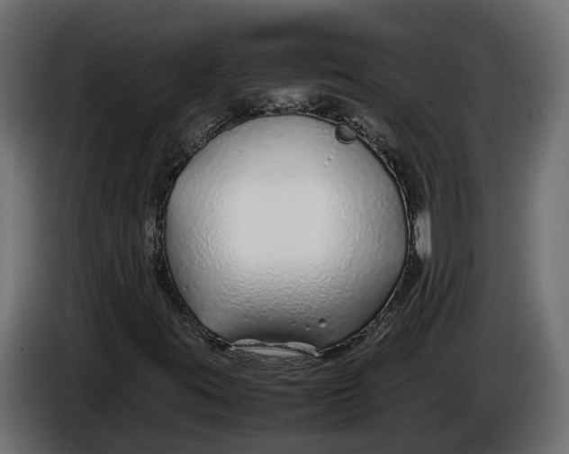 X0000086081395200704132052