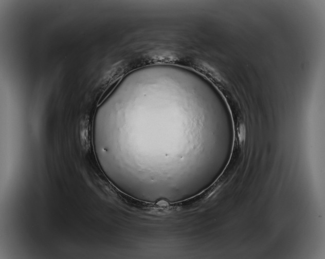 X0000086081396200704132052