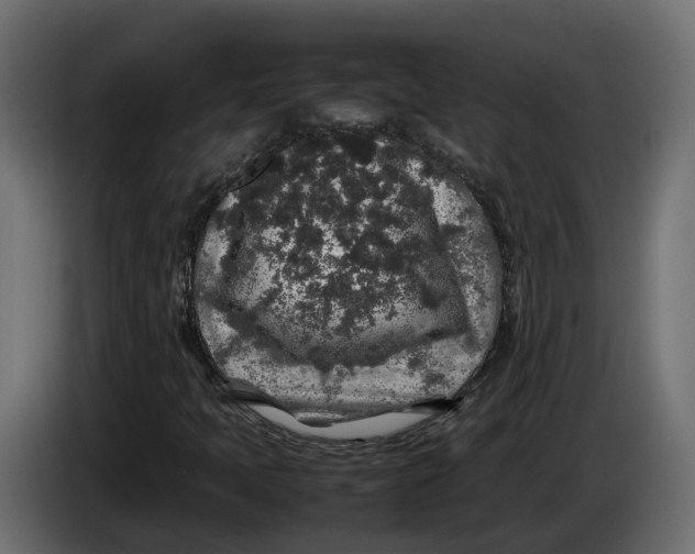 X0000086081397200704132052