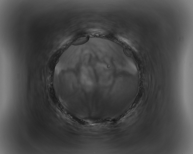 X0000086081399200704132052