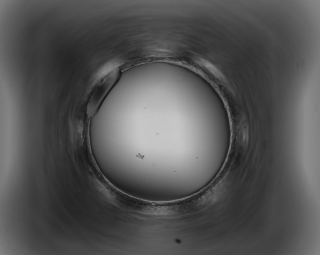 X0000086081402200704132052