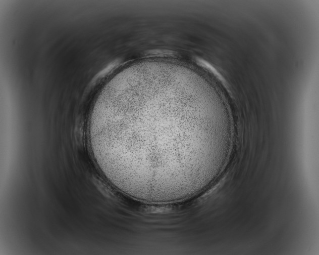 X0000086081403200704132052