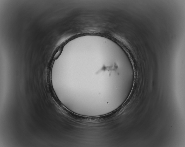 X0000086081404200704132052