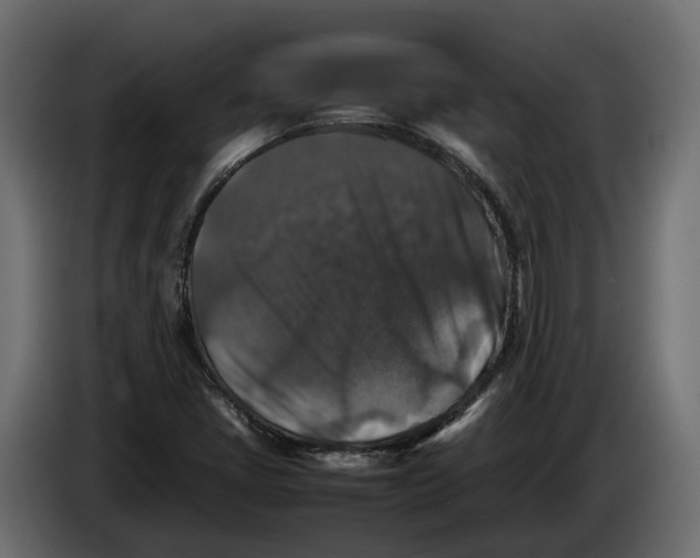 X0000086081405200704132052