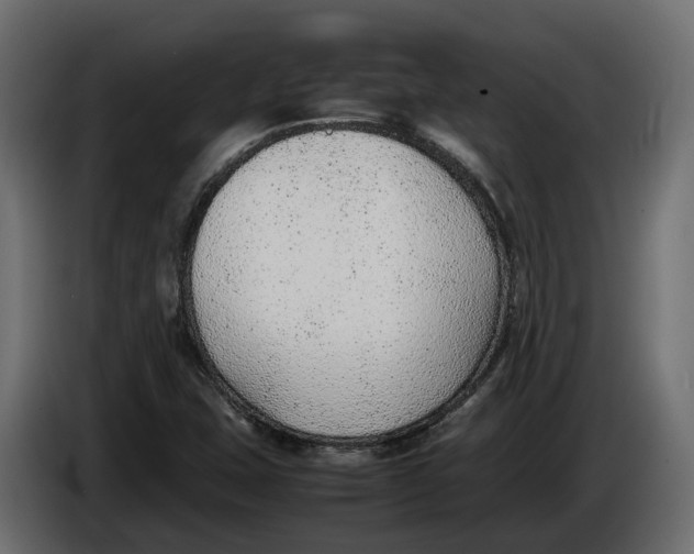 X0000086081407200704132052