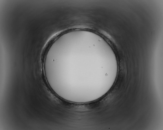 X0000086081408200704132052