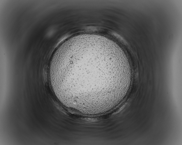 X0000086081409200704132052