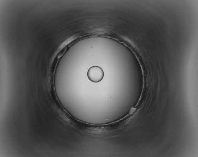 X0000086081410200704132052