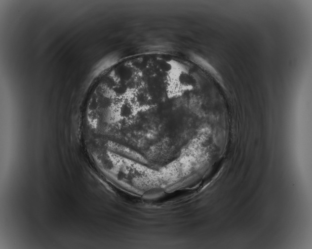 X0000086081411200704132052