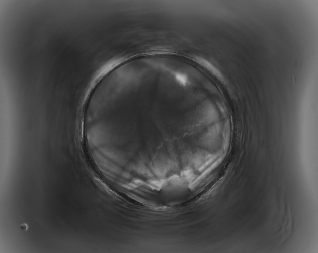 X0000086081413200704132052