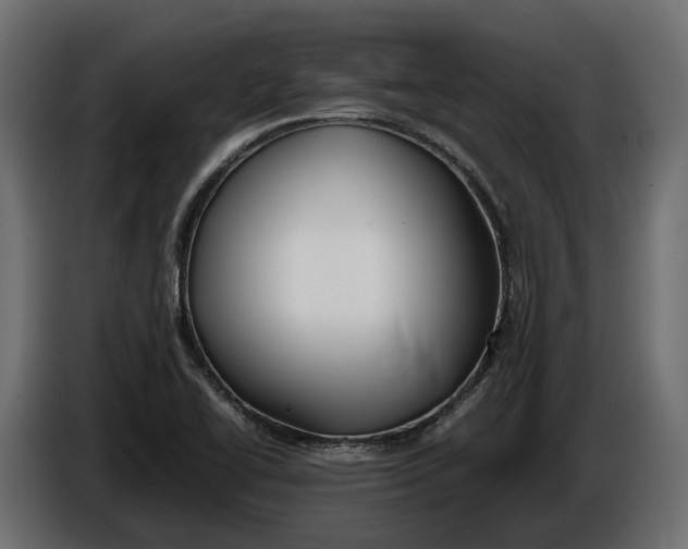 X0000086081414200704132052