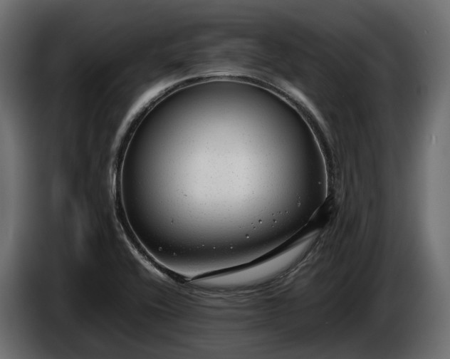 X0000086081416200704132053