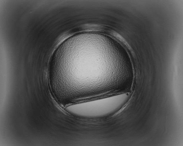 X0000086081417200704132053