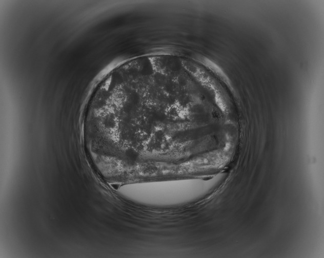 X0000086081419200704132053