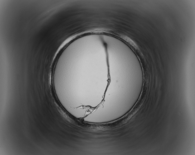 X0000086081420200704132053