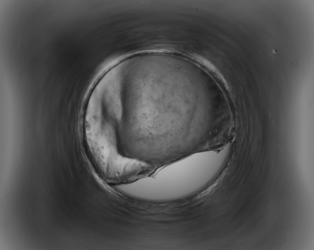 X0000086081421200704132053