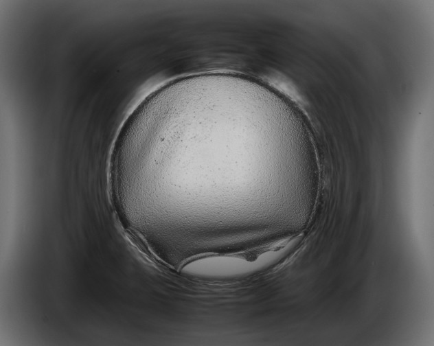 X0000086081423200704132053