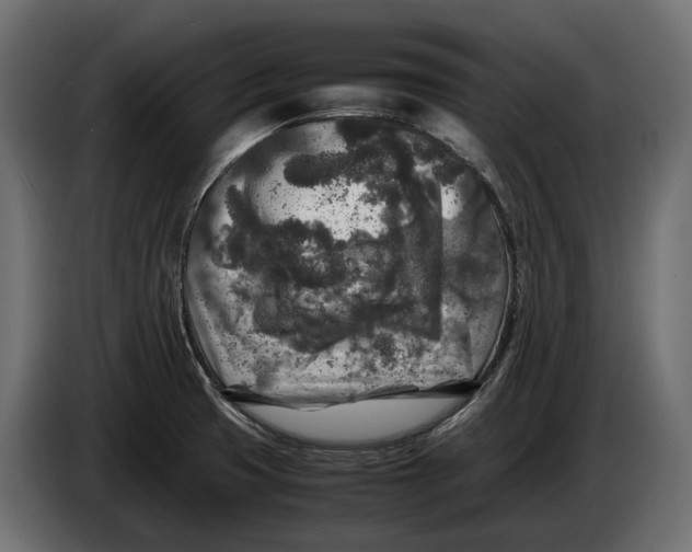 X0000086081425200704132053