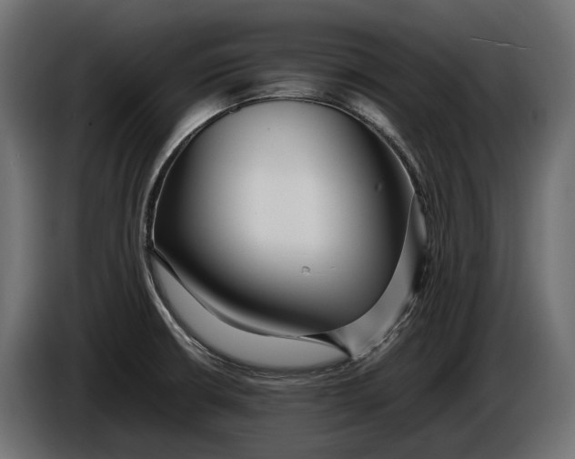 X0000086081426200704132053