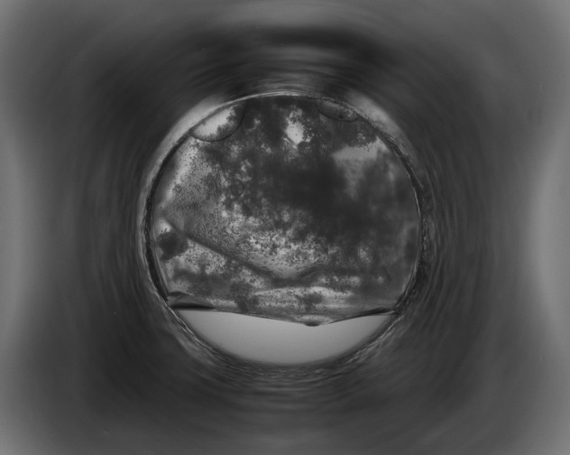 X0000086081427200704132053