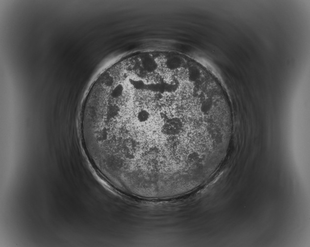 X0000086081429200704132053