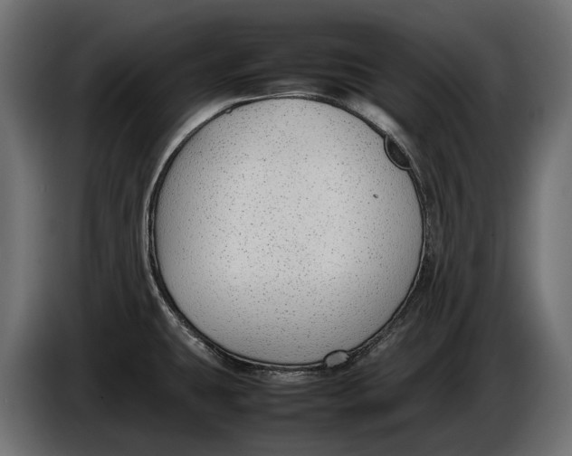 X0000086081431200704132053