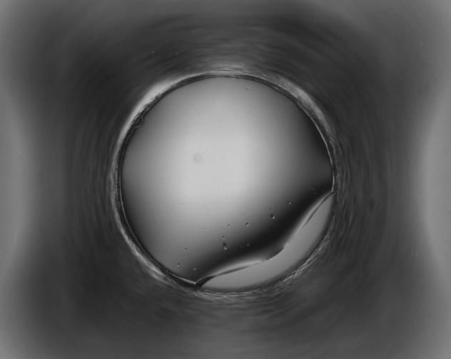 X0000086081432200704132053