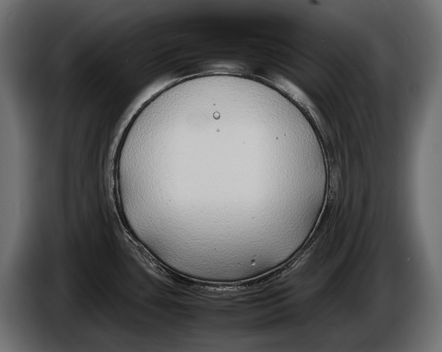 X0000086081435200704132053