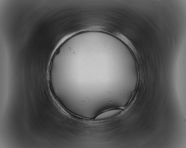 X0000086081436200704132053