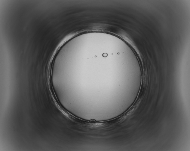 X0000086081437200704132053