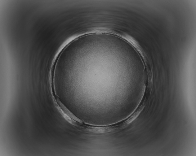 X0000086081438200704132053